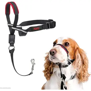 Optifit Headcollar - Stop Your Dog Pulling on the Leash, Adjustable, Reflective and Lightweight with Padded Nose Band, Dog Training Anti-Pull Collar for Medium Dogs (Size Medium)