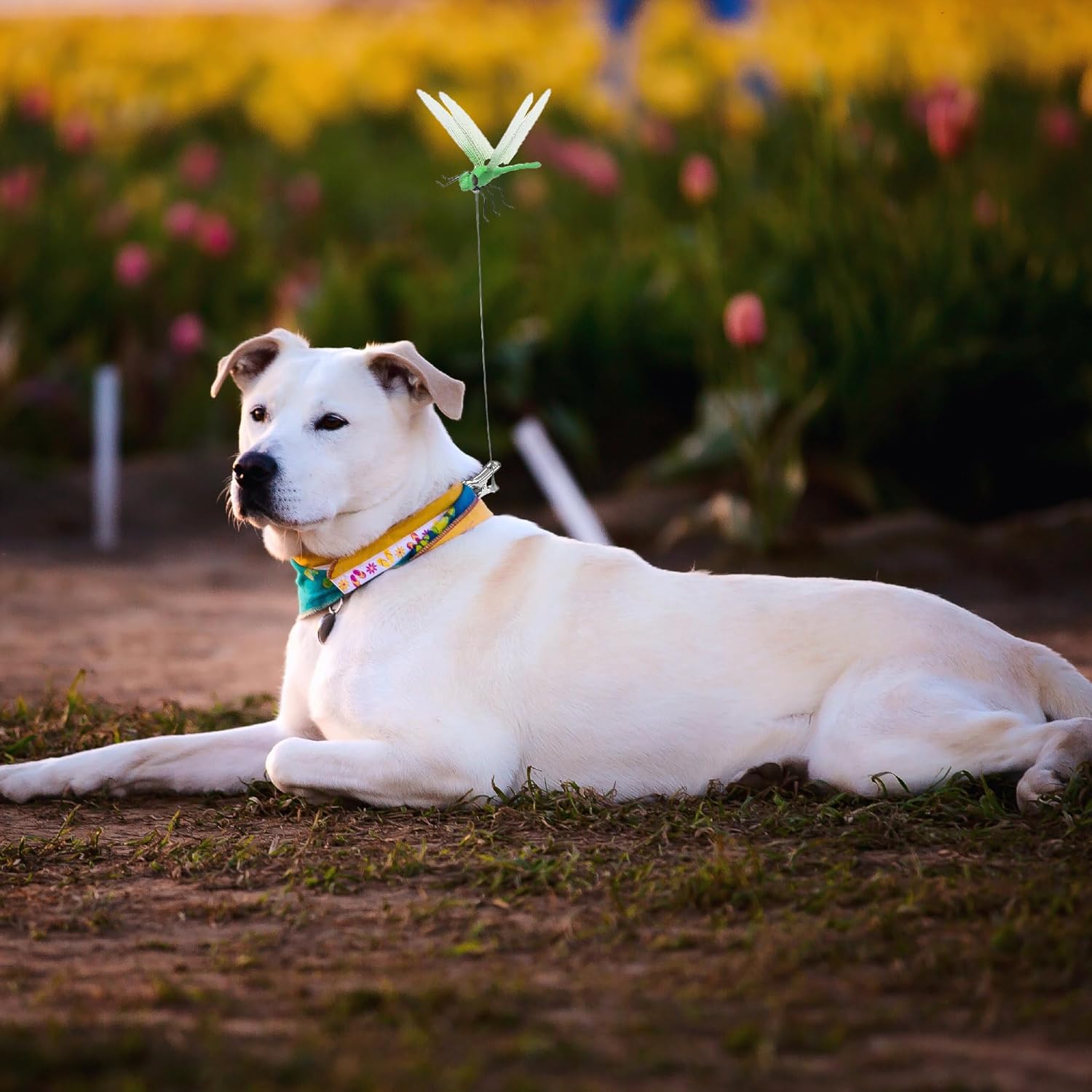 Outdoor Fake Dragonfly Rod Clip Garden Metal Dragonfly Clip 3D Dragonfly Garden Stakes Decor for Indoor & Outdoor Garden Creative Home Accessories Decorative Design（ 4 Pack）