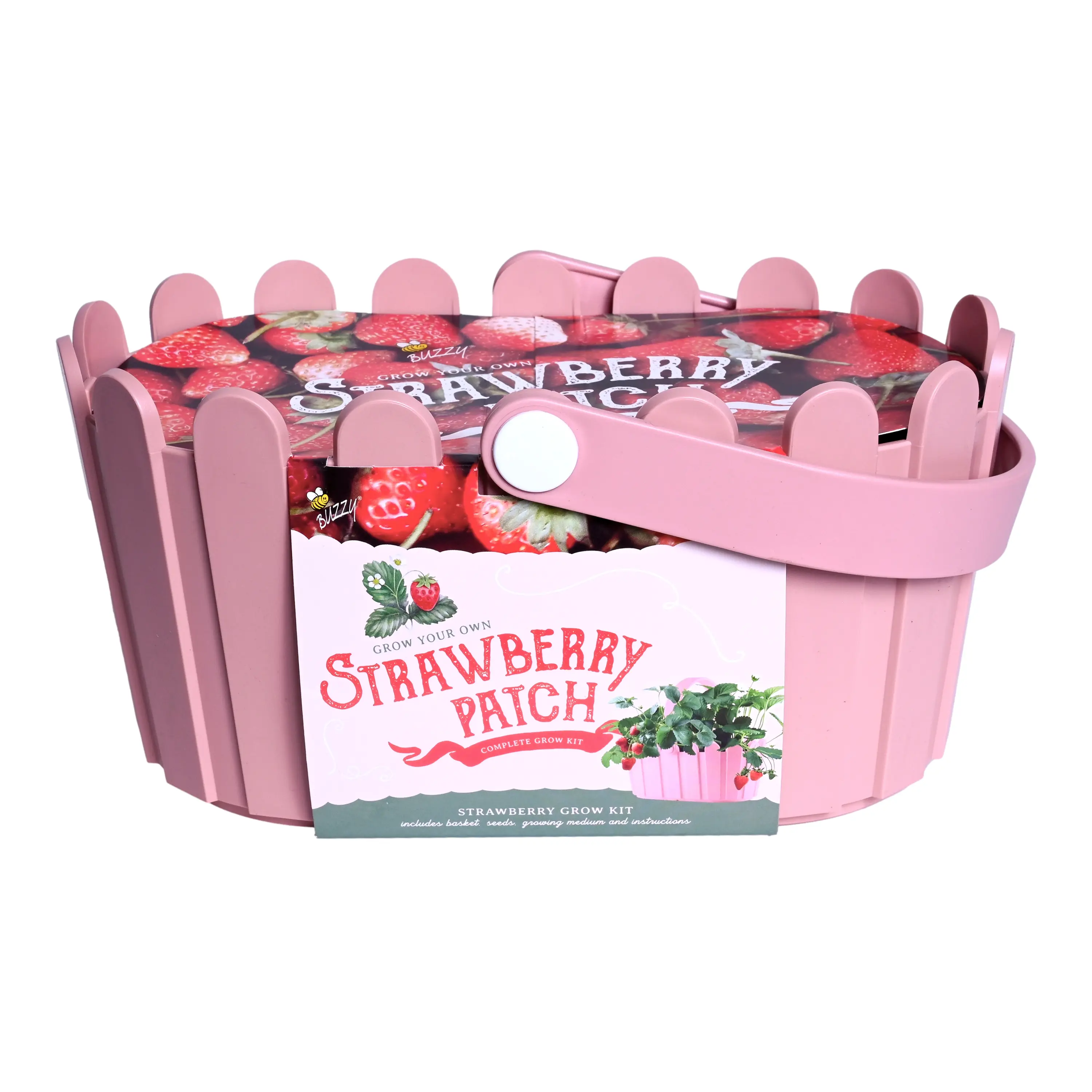 Strawberry Grow Kit | Pink Basket Planter