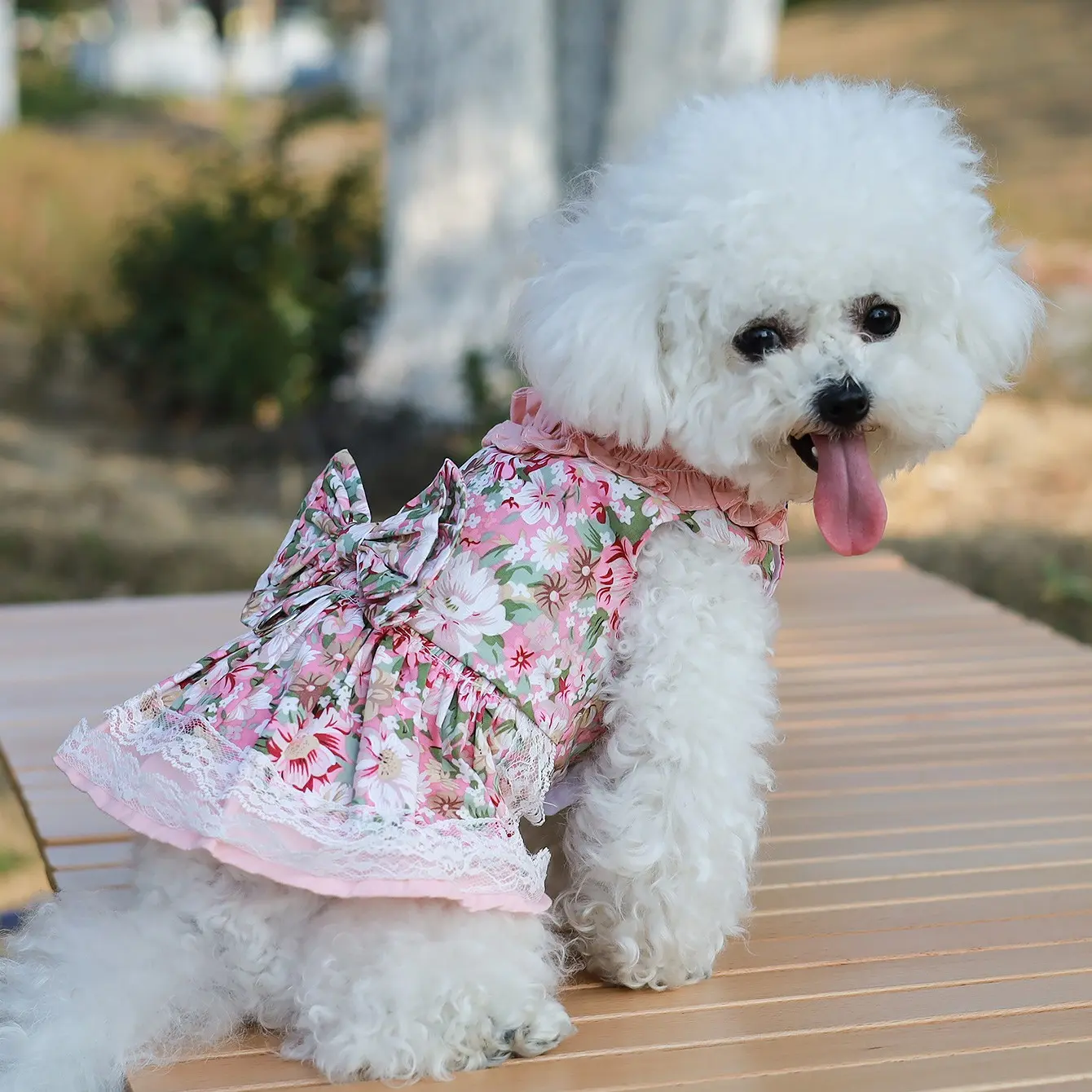 dog summer dress Doggie Design Catching Waves with Matching Leash (X-Large) This beach dog outfit is more than just clothingits an expression of your pets personality White Sunflower Dog Dress |