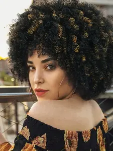 Short Afro Kinky Curly Hair Wigs with Bangs for Women, Highlight Synthetic Fiber Curly Bob Wigs for Daily Party Wear, Summer Vacation