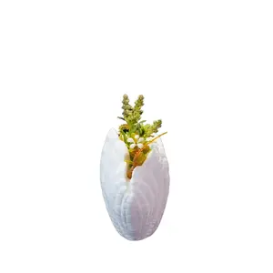 3D-Printed Shell Vase – Elegant Coastal-Inspired Home Decor