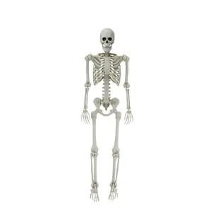5ft White Poseable Skeleton Decoration, Halloween Outdoor Decor