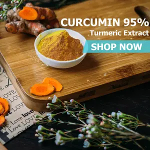 Curcumin 95% Natural Turmeric Extract Healthcare Vitamin Dietary Supplements