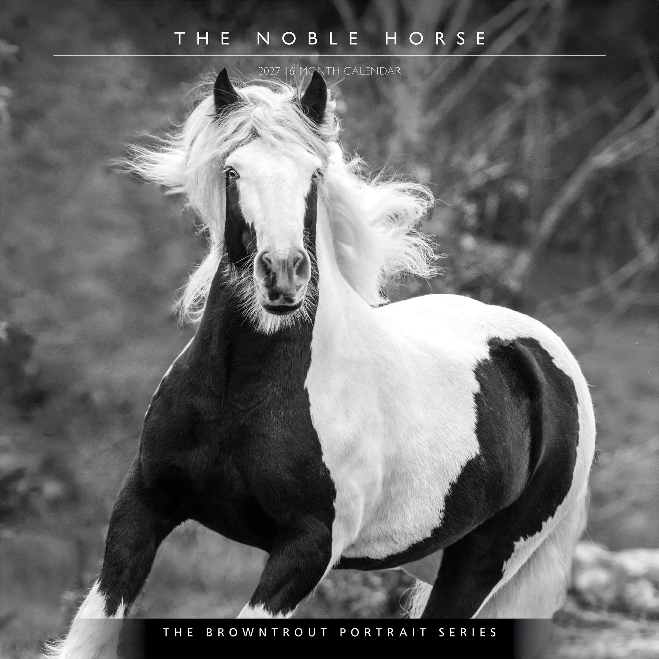 The BrownTrout Portrait Series: The Noble Horse | 2027 12 x 24 Inch (Hanging) Monthly Square Wall Calendar | Plastic-Free | Pets Equestrian