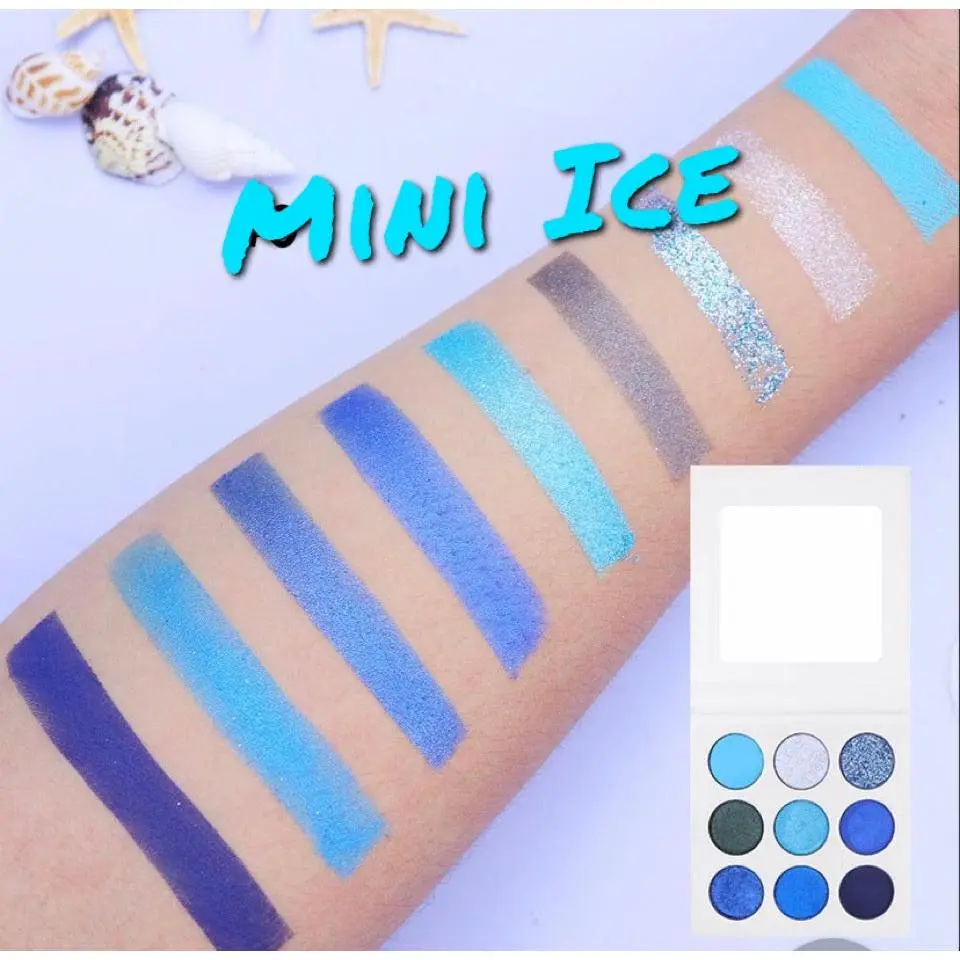 Mini Ice eyeshadow Palette ❄️