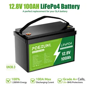 PUJIMAX 12V 100AH LiFePO4 Battery - High Capacity Rechargeable for RV, Solar System