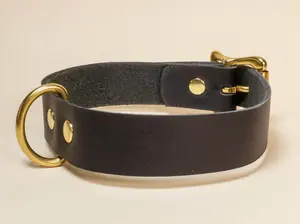 Submissive Day Collar with Solid Brass Hardware in Black Leather