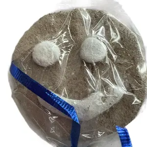 clay in form of payaso 1pz   barrito paleta en forma de payaso 1pz ojitos y boca kaolin