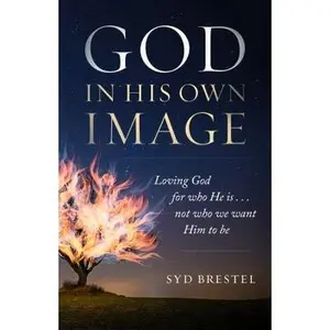 USED-God in His Own Image: Loving God for Who He Is... Not Who We Want Him to Be by Brestel, Syd (Paperback)