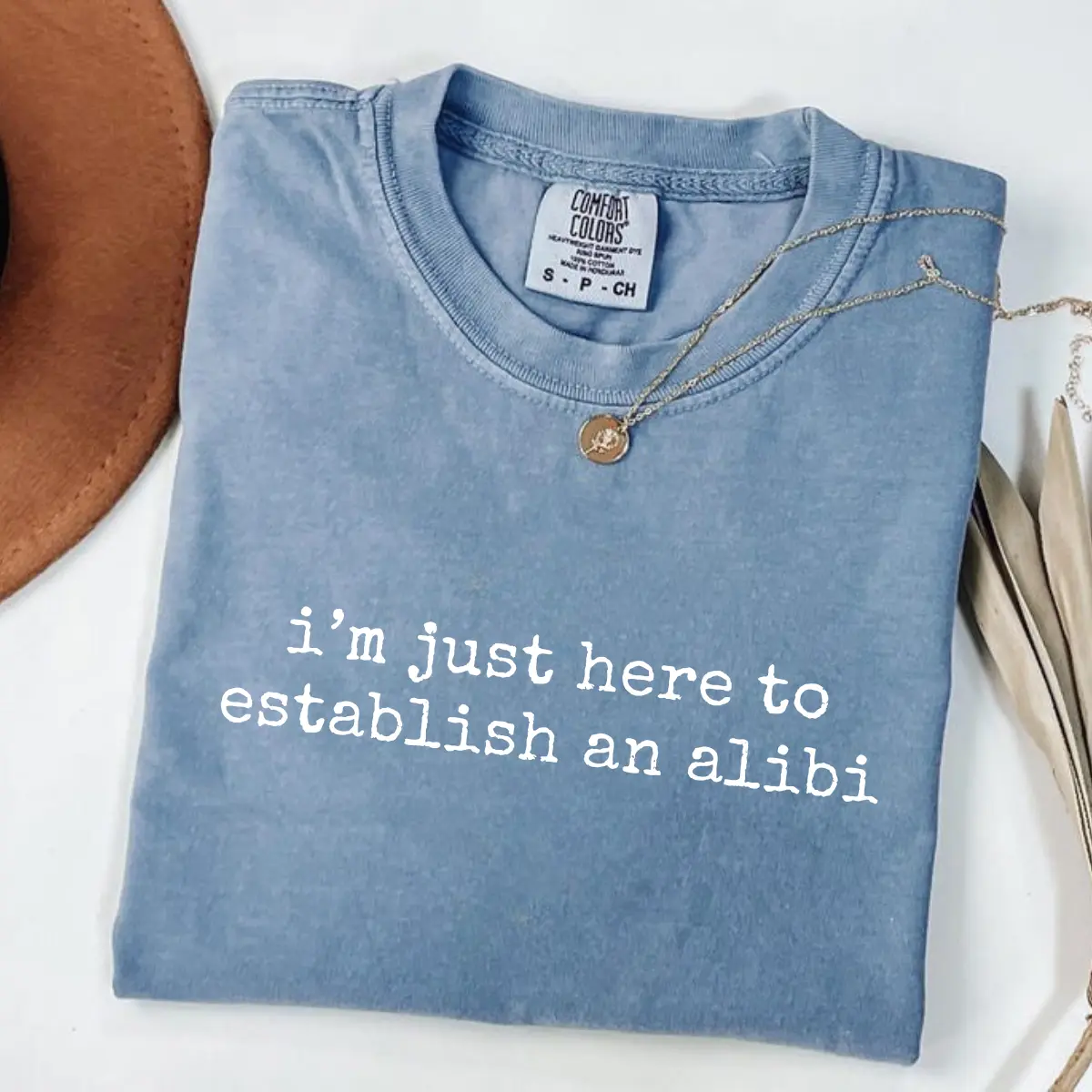Comfort Colors I'm Just Here To Establish An Alibi, Funny Sarcastic TShirt, Humorous Quote T-Shirt, Witty Saying Tshirt, Casual Graphic Tee, Funny Gym