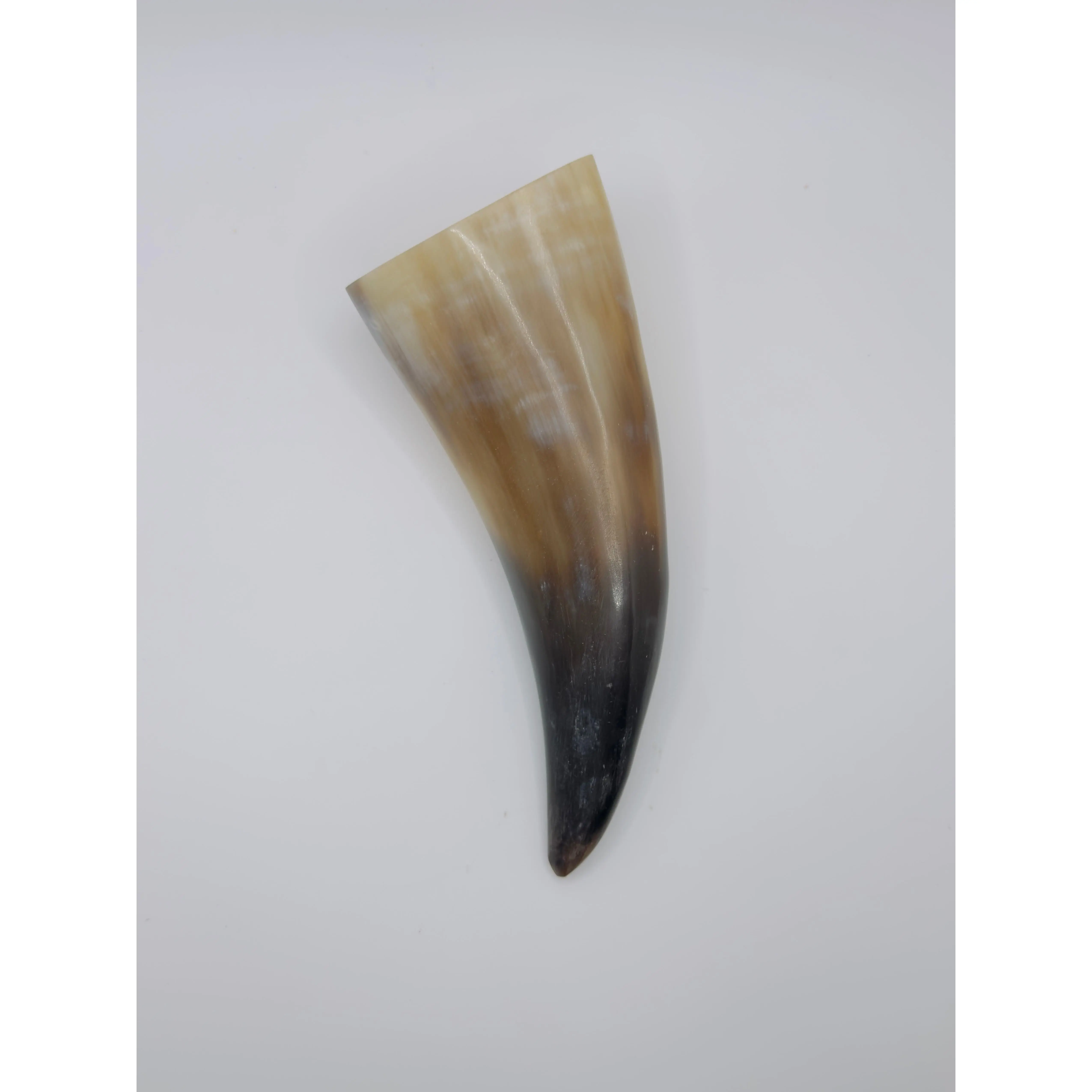Bull Horn