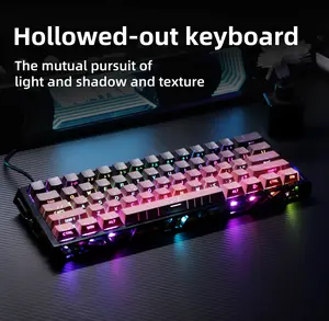 60% RGB Mechanical Gaming Keyboard - Hot-Swappable, USB-C, Hollow Case with Side Glow, Computer Keyboards for Office and Gaming Use
