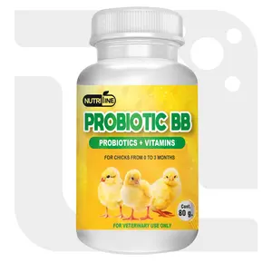 Multivitamin Supplement Enriched with Probiotics – Probiotic BB 80g For animal