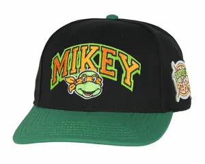 Nickelodeon Mens' Teenage Mutant Ninja Turtles Embroidered Classic Precurve Snapback Hat