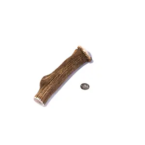 Extra Large Elk Antler For Dogs To Chew - All Natural and Long Lasting