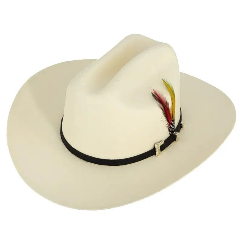 Sombrero Tombstone Chaparral 1000X Master Telar with Feather Accent and Black Band