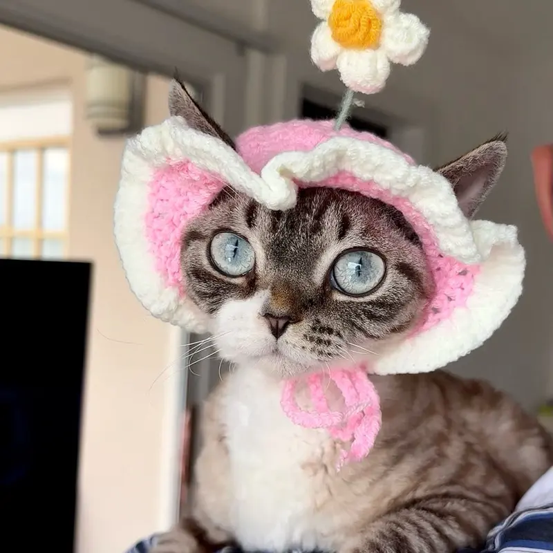 Handmade Crochet Cat Hat with Flower | Cute Pet Costume Bonnet for Cats & Small Dogs
