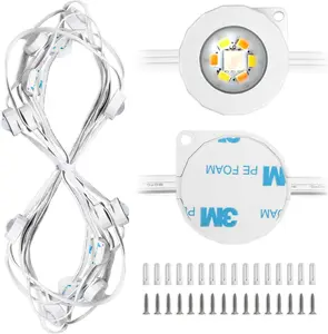 Lepro Permanent Lights Accessories Only – 25 ft Permanent Outdoor Lights Single Strand Without Adapter and in-line Controller