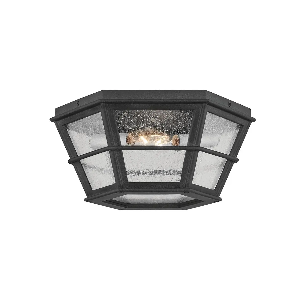 Lake County 2-Light Outdoor Ceiling Light in Matte Black with Seeded Glass for Rustic and Modern Spaces