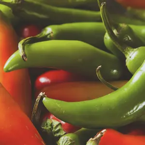 Heirloom Serrano Hot Pepper Seeds - Organic and Regenerative Gardening Seeds