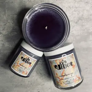 Moodswings | Cedarwood, Vanilla & Black Currant Absinthe Candle