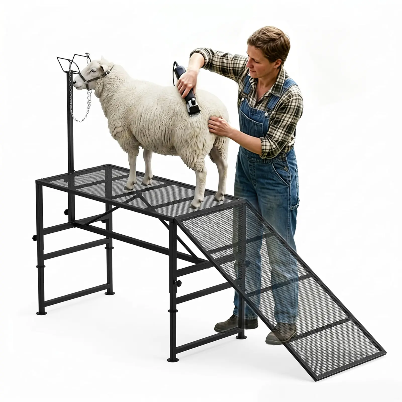 Metal Foldable Height-Adjustable Livestock Milking & Trimming Stand for Goats & Sheep - 500lbs Capacity, Adjustable Headpiece & Ramp
