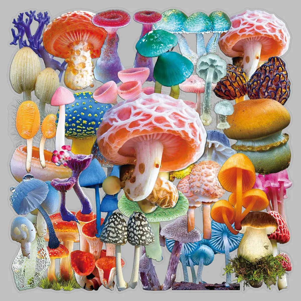 50sheets cartoon colorful plants mushroom transparent stickers travel case glass souvenir book laptop stickers Decorative Stickers