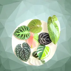 Leaf mobile Phone Socket Grip Accessory