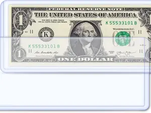 50 Pack Dollar Bill Sleeves, Clear PVC Currency Holders Transparent Bill Display Protectors for Regular Bills Cash Money Banknotes and Stamps, 6.8 x 2.9 Inch