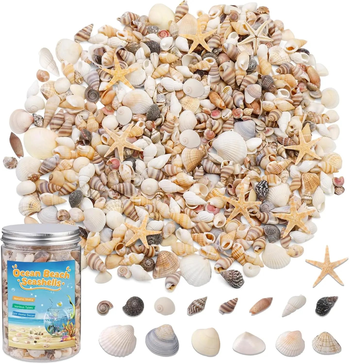 1200 Pcs Tiny Sea Shells, Seashells for Crafts with Small Shells Starfish Mixed Ocean Beach Spiral Seashells for Beach Party, Fish Tank and Vase Filler, Wedding Decor, Diy Jewelry Candle Making