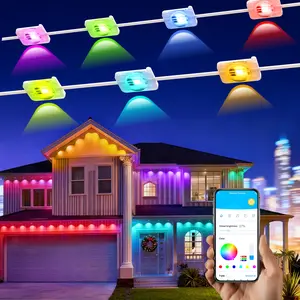 DAYBETTER Ultrasonic Eaves Light Permanent Outdoor Lights Bluetooth APP Control Color-Changing IP65 Waterproof for Holiday Decoration Enhanced RGB Lighting