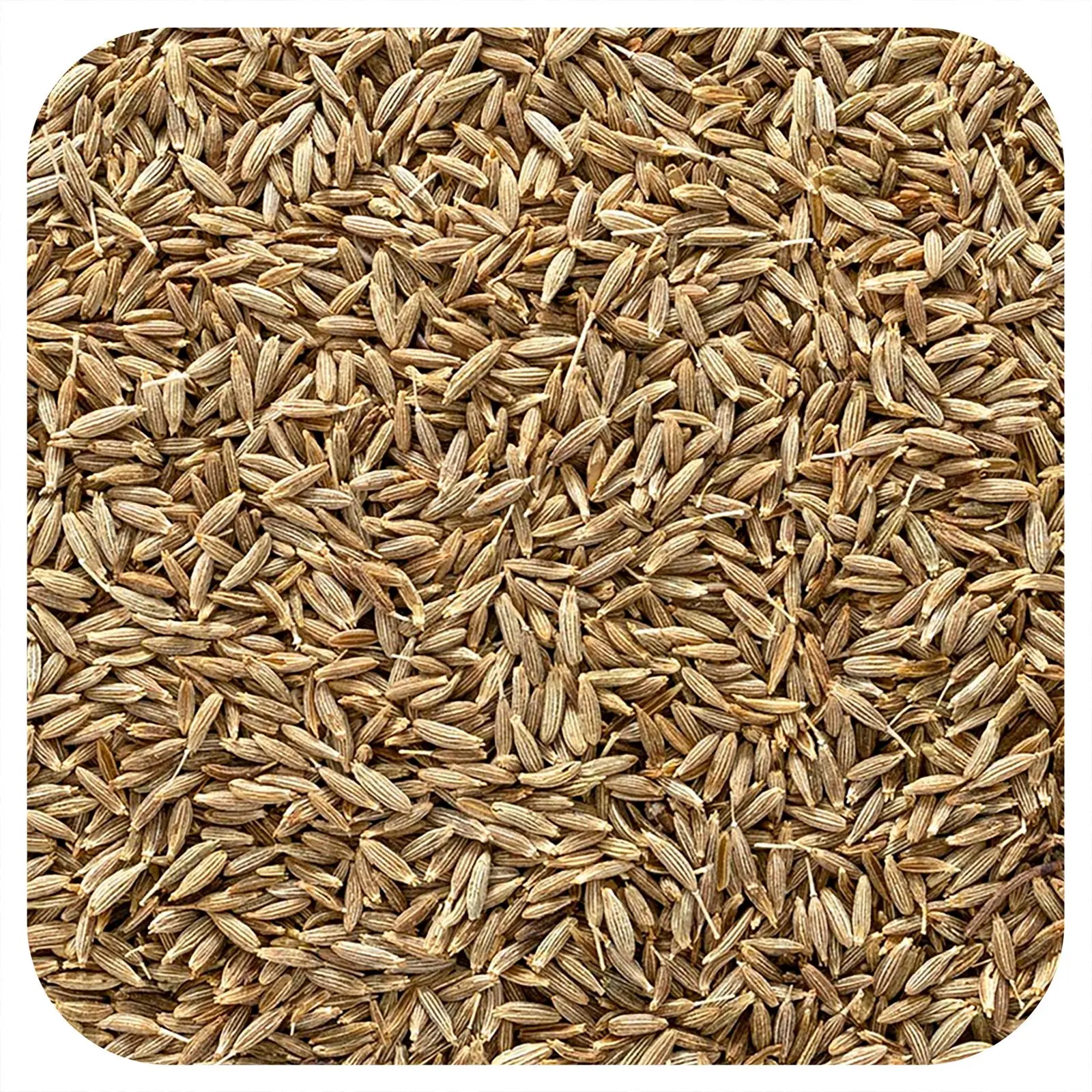 Frontier Co-op Organic Whole Cumin Seed, 16 oz (453 g)