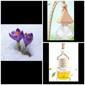 Car Diffuser - Frozen Fragrance