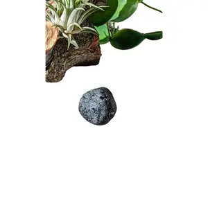 Rare Black Tourmaline Naturally Tumbled consciously Sourced # 1