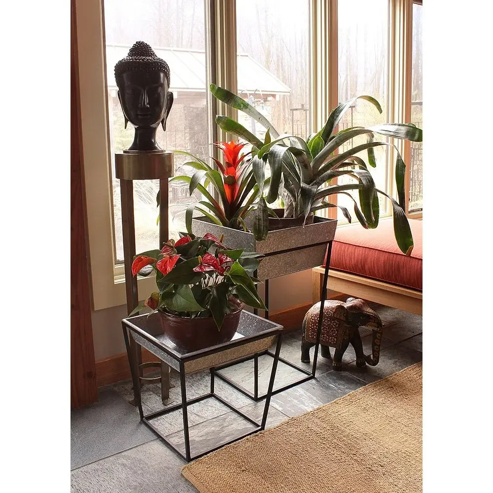 ACHLA Arne Plant Stand with Removable Metal Tray