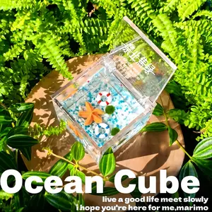 Cute Cube Terrarium with Marino Moss Ball: Complete Mini Garden Kit, Low Maintenance Closed Ecosystem, Self-Contained Habitat for Mindfulness & Desk Decor, Soothing Micro Landscape(Includes LIVELY Moss Ball Pet)