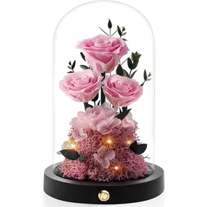 Valentines Day  Roses Gifts for Her,Forever Real Preserved Roses in Glass Dome,Valentines Day Anniversary Birthday Gifts for Wife Girlfriend Women Mom   Her/ Rose