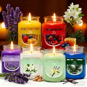 Premium Glass Jar Aromatherapy Candle, Clean Burning Soy Wax Scented Candle for Bedroom Bathroom Living Room, Ideal Valentine's Day Birthday Christmas Gift for Loved Ones and Pink Sands Scented Candle Caramel Salted