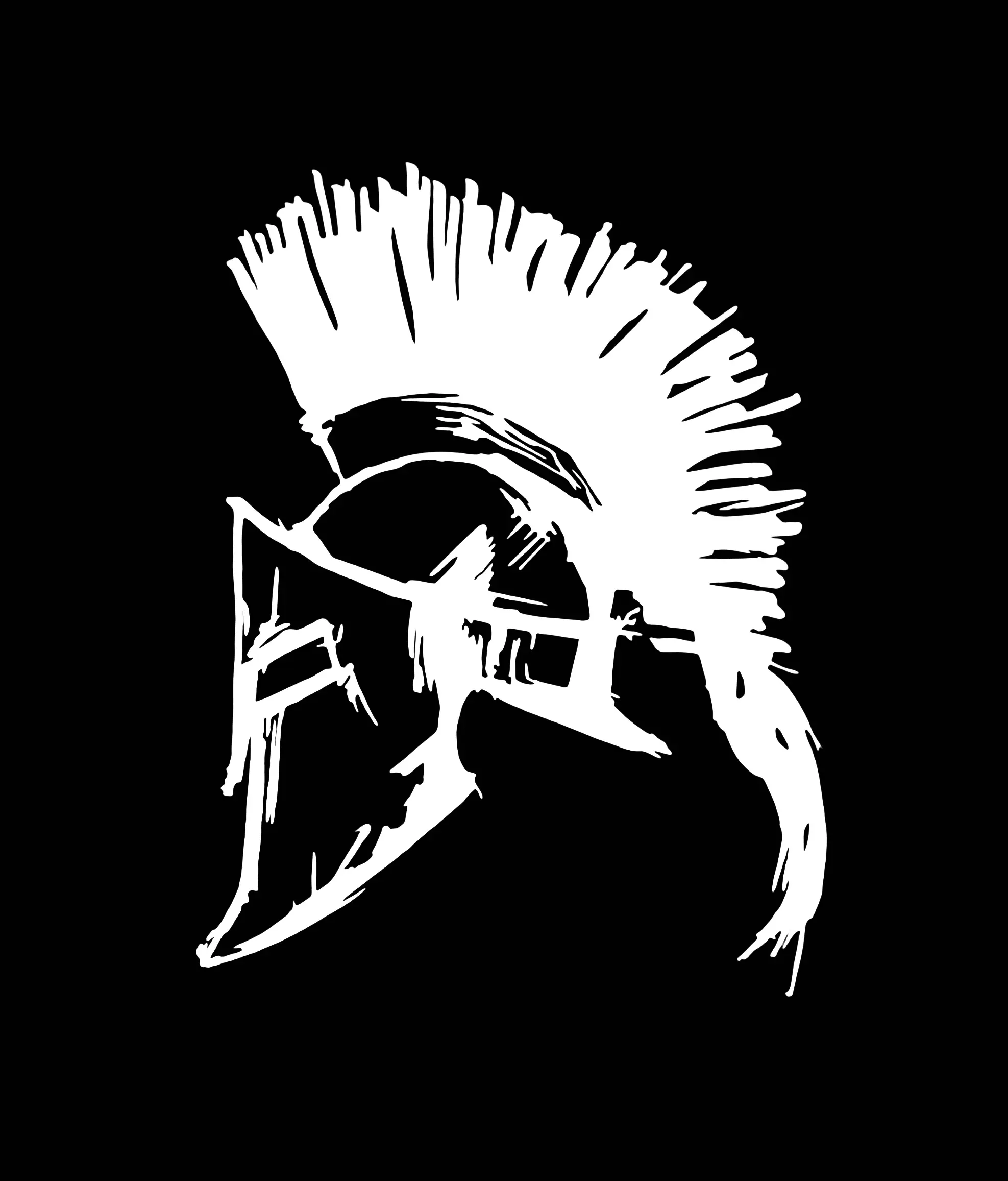 Spartan Vinyl Decal / Sticker , King Leonidas