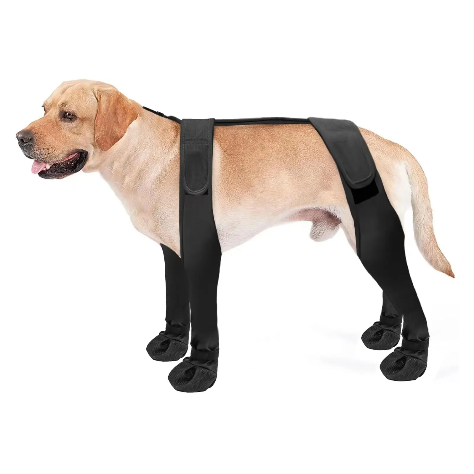 Multi-Size (S,M) Outdoor Dog Boots - Waterproof, Anti-Slip, Dirt-Preventing All-Seasons Everyday Guards That Protects Paws