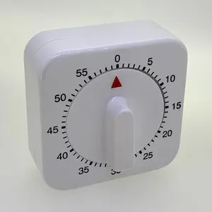 Wind Up Mechanical Timer