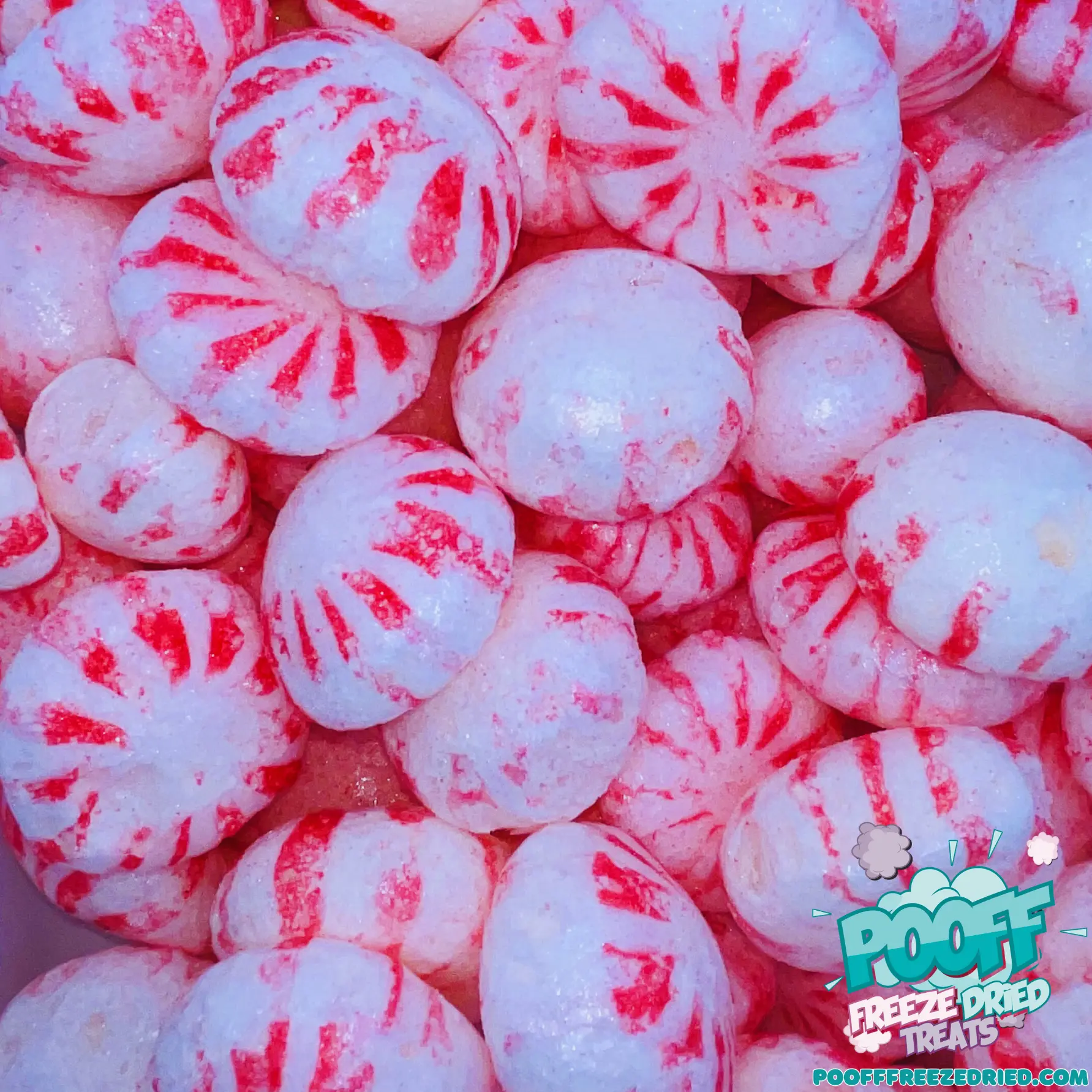 Freeze Dried Peppermint Starlight Mints