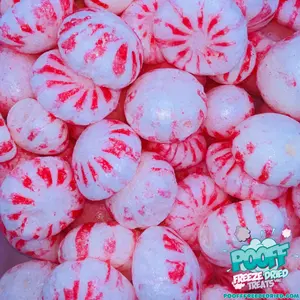 Freeze Dried Peppermint Starlight Mints