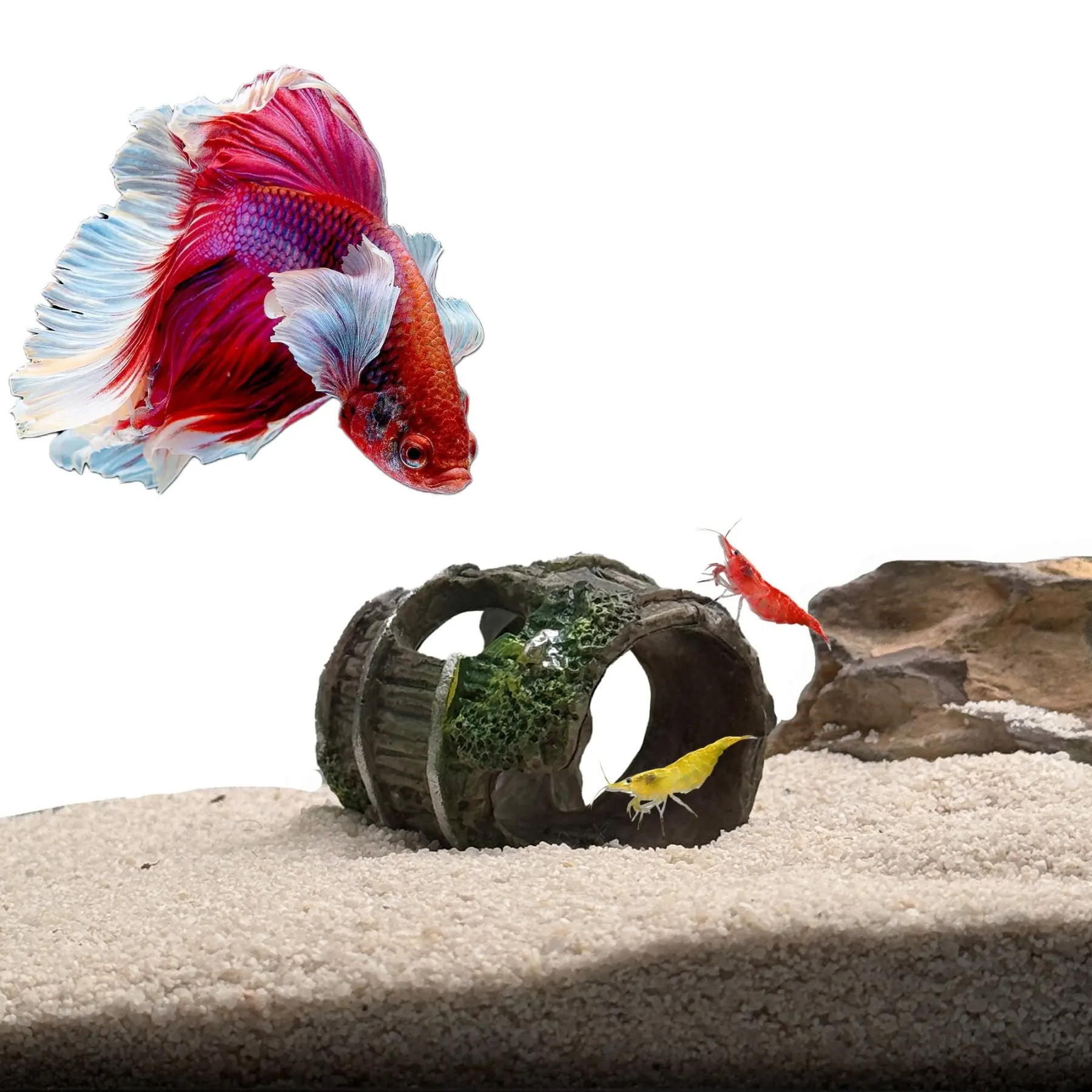 Shrimp & Betta Barrel Hide – Sinking Resin Aquarium Cave for Shrimp, Betta Fish & Small Aquatic Pets