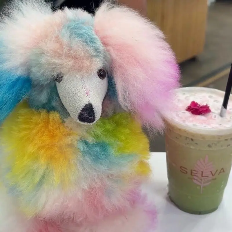 Selva Poodle