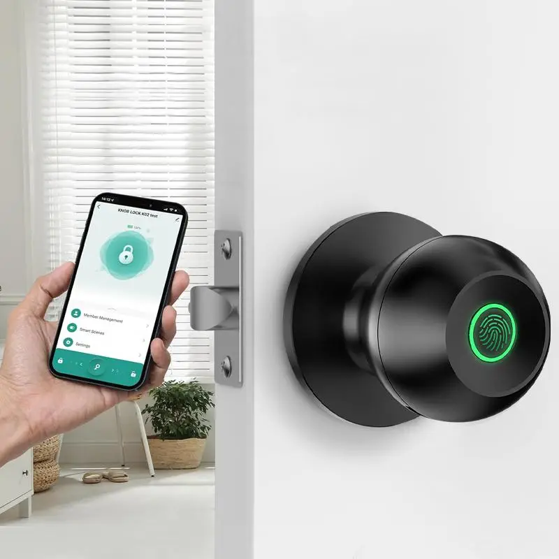 Spherical Smart Fingerprint Lock (1 Count), Room Door Handle Lock, Plug Type Smart Fingerprint Lock, Keyless Entry Door Lock, Smart Door Knob