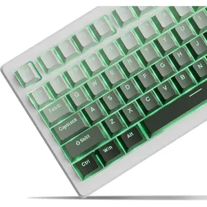 x XVX Shine Through PBT Keycaps, Custom Keycaps 60 75 100 Percent OEM Profile, Doubleshot Key caps Set for 61/64/68/84/87/100/104/108 Gaming Mechanical Keyboard, Gradient Green