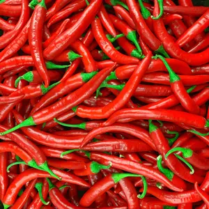 50 Cayenne Pepper Seeds - Natural Seed for Growing Cayenne Pepper Plants