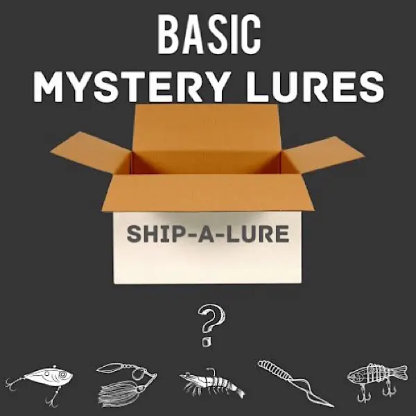 Fisherman's Basic Bundle: Assortment of 5 or 10 Basic Hand-Selected Fishing Lures Minnow Tube Lure Box Tackle Boxes Googan Glide Bait fishing tackle